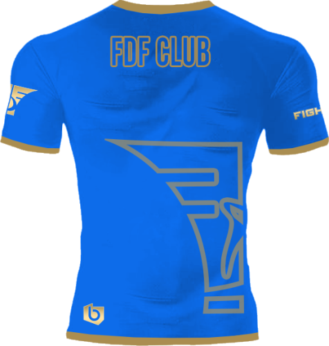 Koszulka Treningowa męska FDF Niebieska niebieska meska tyl.png