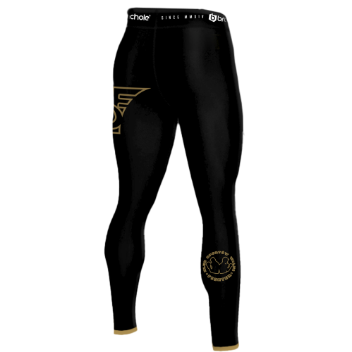 Legginsy termoaktywne męskie Brachole FDF